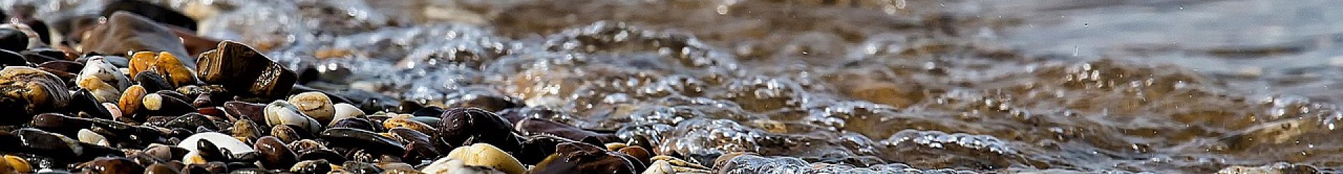 Page Header image 