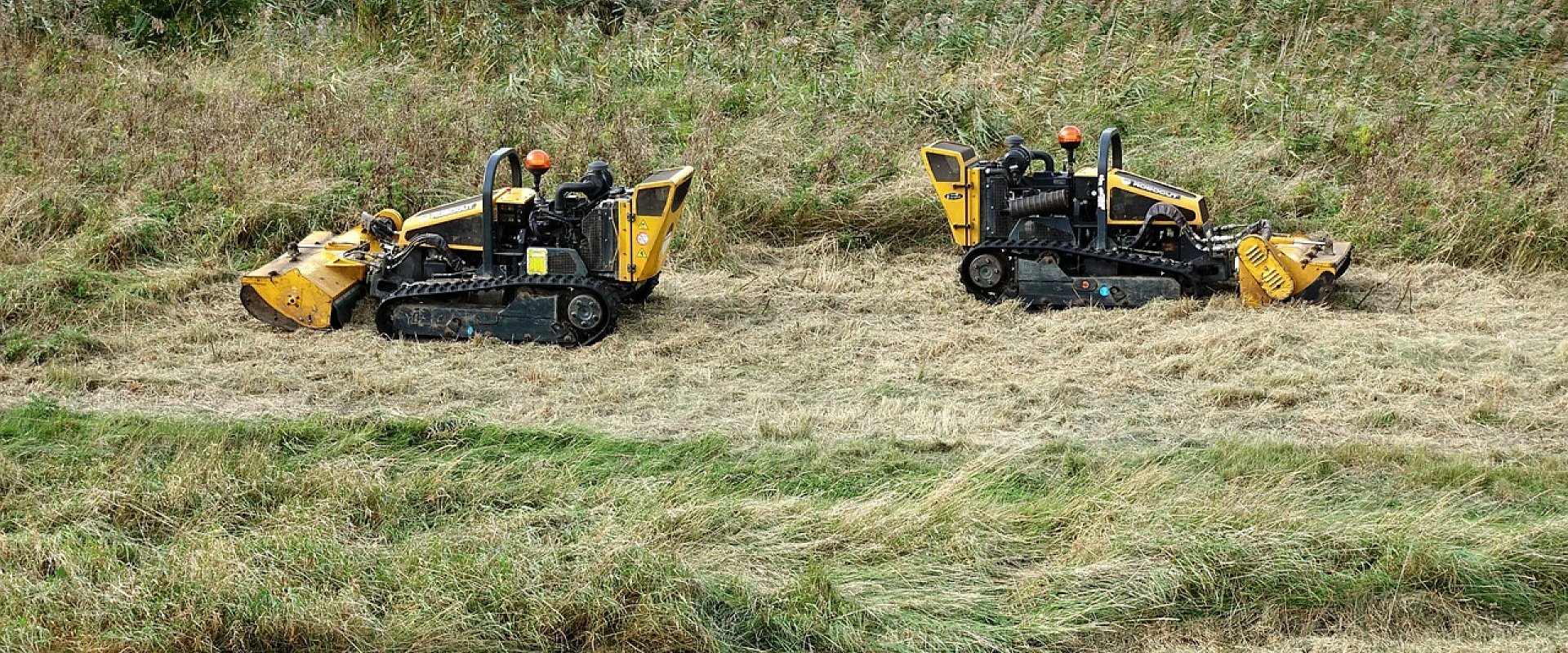 Brush Hog field