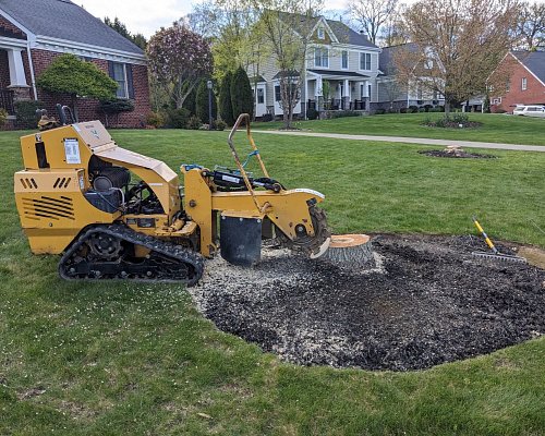 Stump grinder